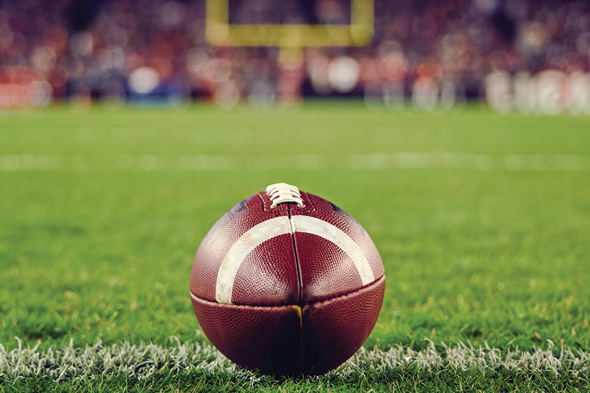 Jacksonville Sharks | Met Park Marina
